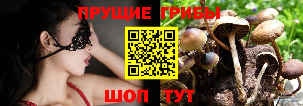 купить   Вход с VPN  Артёмовский  Псилоцибиновые грибы MAGIC MUSHROOMS  Галлюциногенные грибы GOLDEN TEACHER 